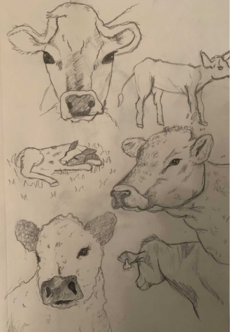 Ella B.- “I really like drawing realistic sketches of people and animals because it’s fun to get the anatomy just right. I like to fill a page of the same subject matter and get all different angles.” 