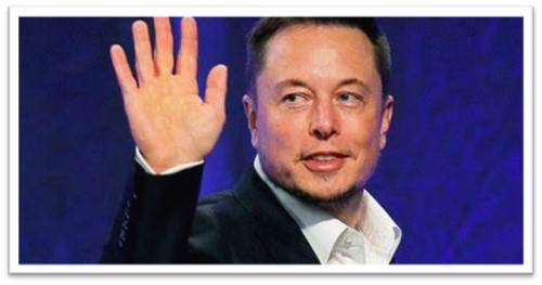 Bye-Bye Birdie: Elon Musk Steps Down from Twitter