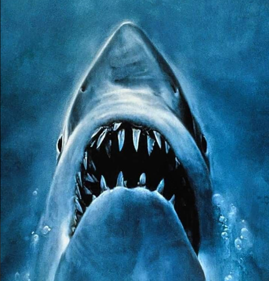 Best Summer Movies